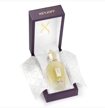 Naxos vibe Eau de Parfum 100ml|Xerjoff arc jlt