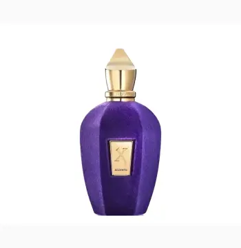 Xerjoff Accento - Eau De Parfum 100ML tester Unisex