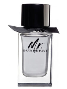 Burberry Mr. Burberry EDT 100ml Erkek Tester Parfüm | Parfüm Mekanı