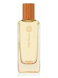 Hermes Ambre Narguile 100ml Unisex Tester Parfüm