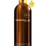 Montale Paris Intense Cafe EDP 100ml Bayan Parfüm