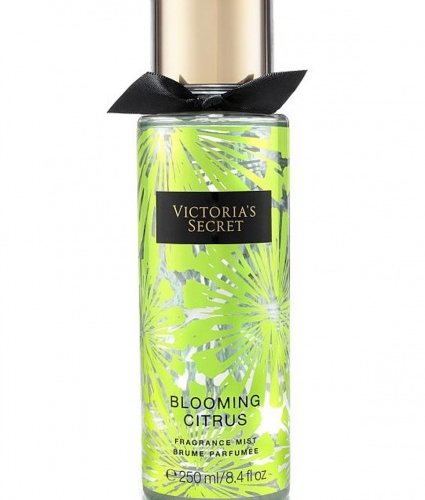 Victoria Secret Body Mist Blooming Citrus 250Ml Fiyatı – Parfüm Mekanı