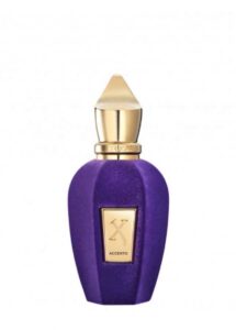 Xerjoff V Collection Accento Unisex Parfüm | Parfüm Mekanı