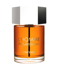 Yves Saint Laurent L'Homme Intense EDP Erkek Parfüm | Parfüm Mekanı