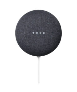 Google Nest Mini